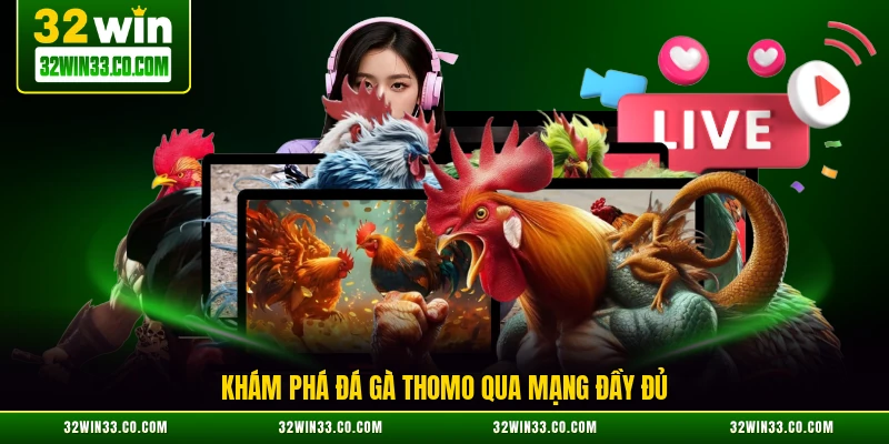 Khám phá đá gà Thomo qua mạng đầy đủ