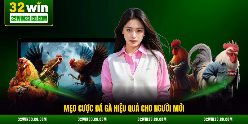 Mẹo cược đá gà hiệu quả cho người mới