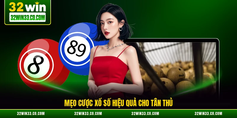 Mẹo cược xổ số hiệu quả cho tân thủ
