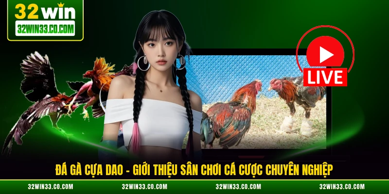 đá gà cựa dao